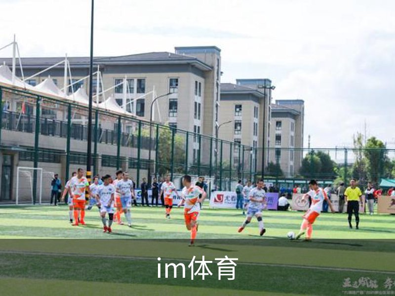 im体育简介